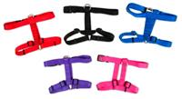 Petmate Adjustable Core Dog Harness